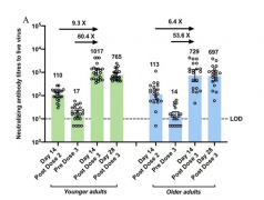 MedRxiv发布健康元丽珠V-01新冠加强针研究 中和抗体滴度提高数倍