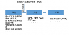 市场转冷之后的再思考：基因检测行业的三重预期差