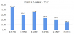 从现金流等指标给蓝思科技“体检”